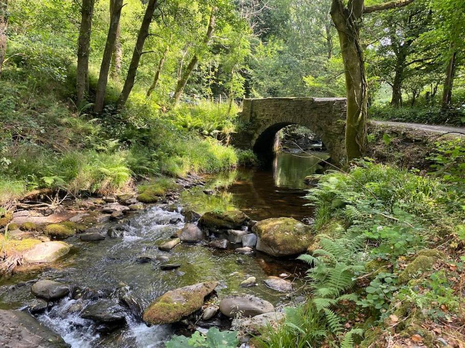Bear Cottage, Tyn Y Cwm Eglwys-Fach Bagian luar foto