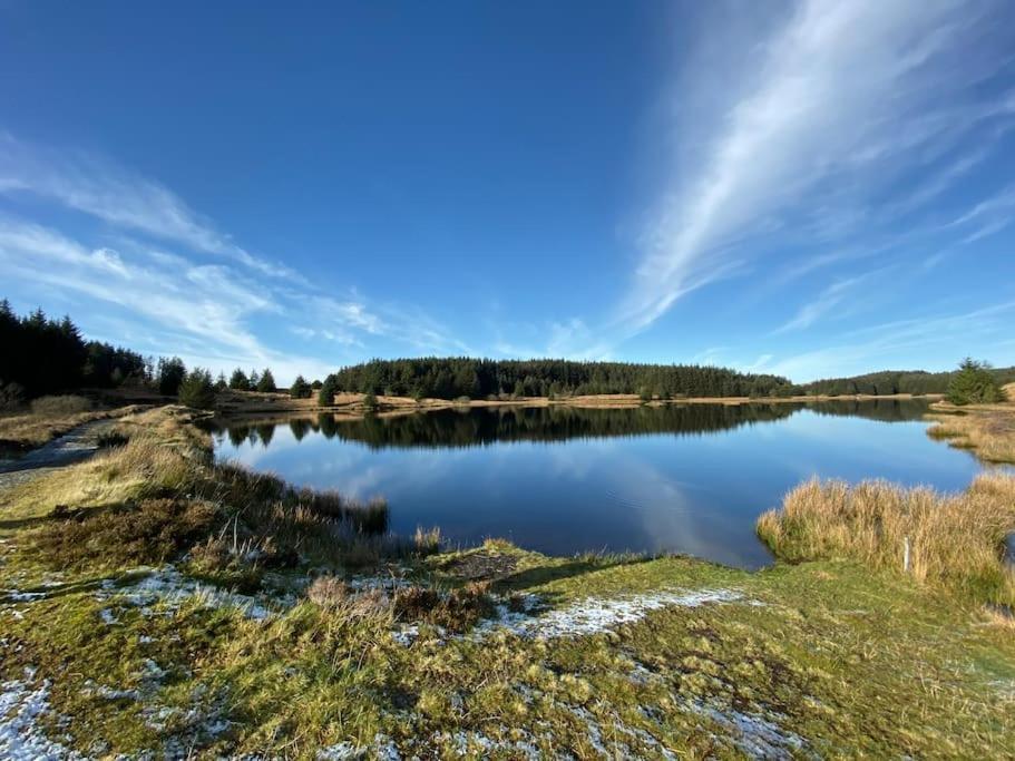 Bear Cottage, Tyn Y Cwm Eglwys-Fach Bagian luar foto