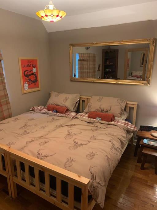 Bear Cottage, Tyn Y Cwm Eglwys-Fach Bagian luar foto