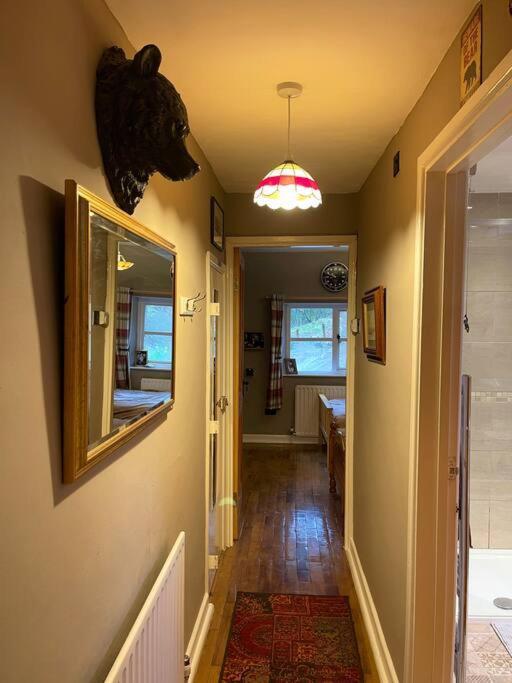 Bear Cottage, Tyn Y Cwm Eglwys-Fach Bagian luar foto